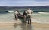 Putting the Currach to Sea by Martin Driscoll